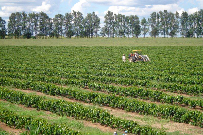 Fazenda Santa Emília