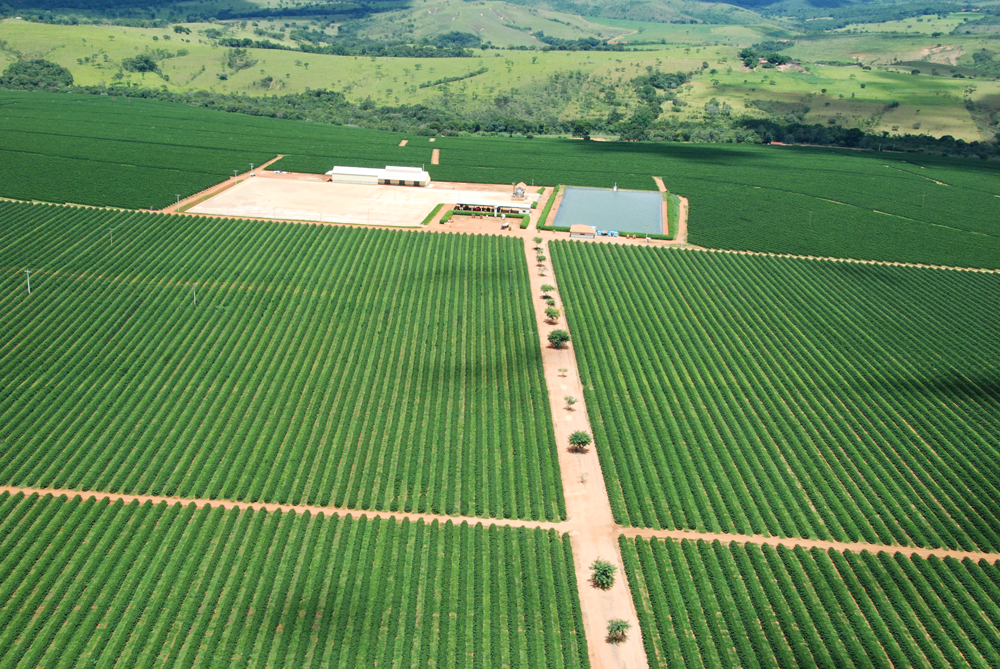 Fazenda Santa Helena